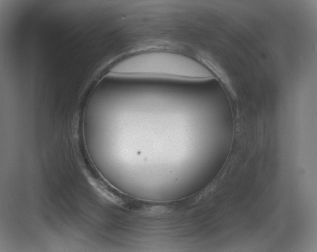 X0000083580058200702090852