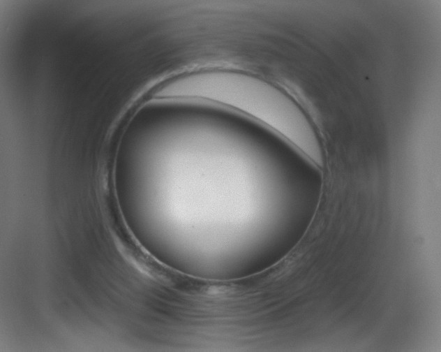 X0000083580060200702090852