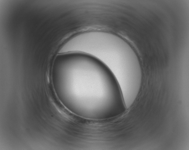 X0000083580062200702090852
