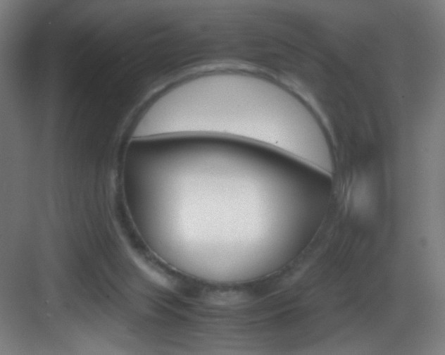 X0000083580063200702090852