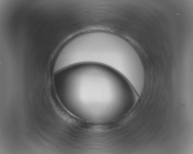 X0000083580064200702090852