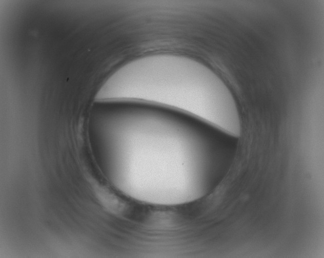 X0000083580066200702090852