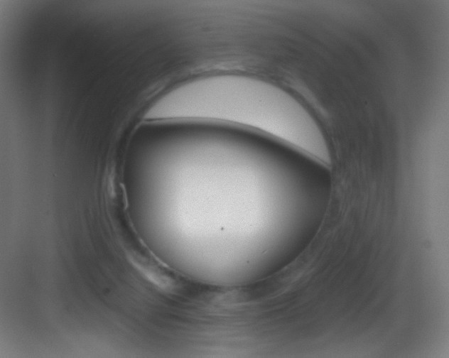 X0000083580068200702090852