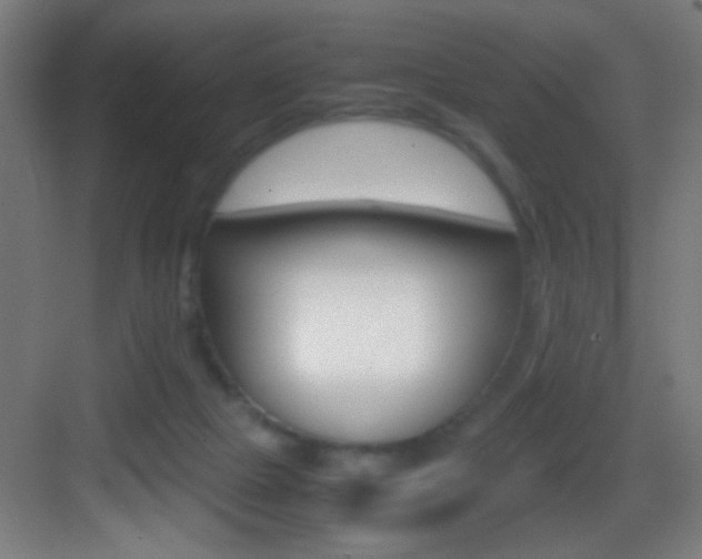 X0000083580073200702090852