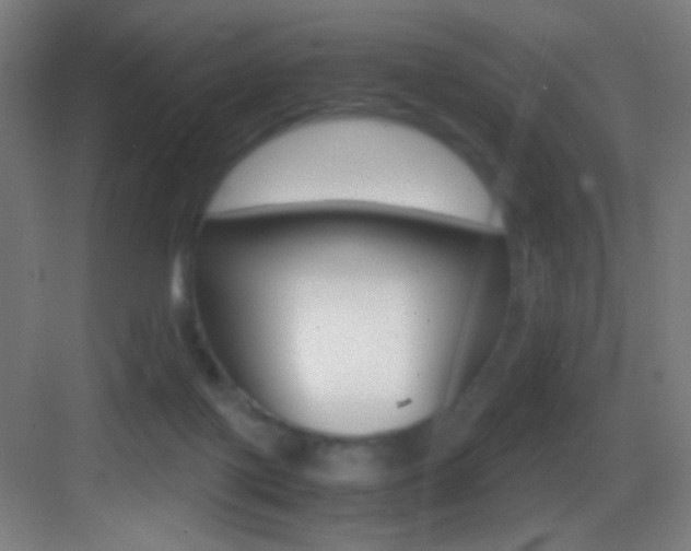X0000083580075200702090852