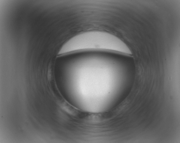 X0000083580080200702090852