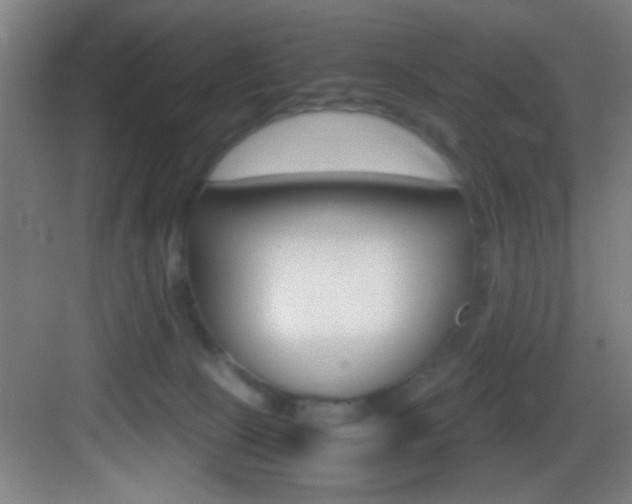 X0000083580081200702090852