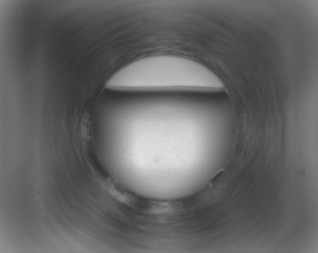 X0000083580083200702090852