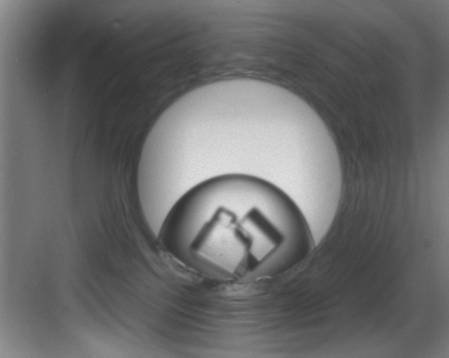 X0000083580088200702090852