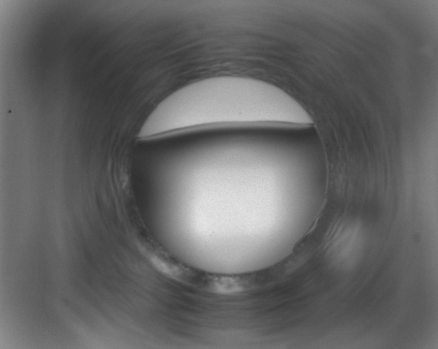 X0000083580091200702090852