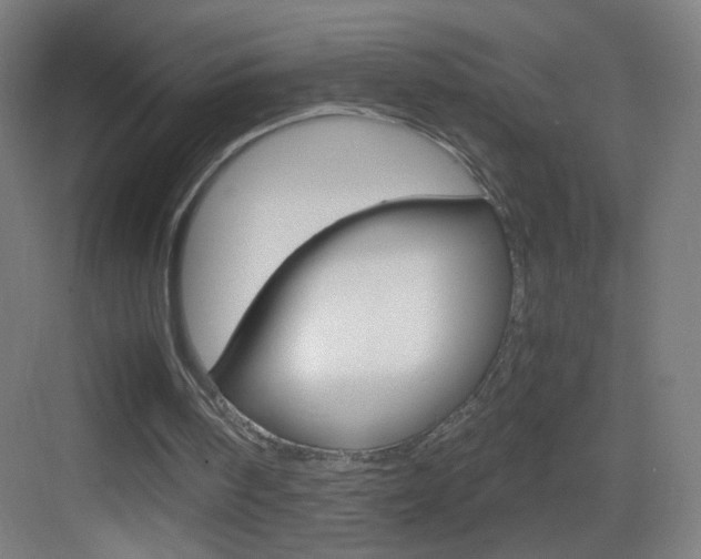 X0000083580098200702090851