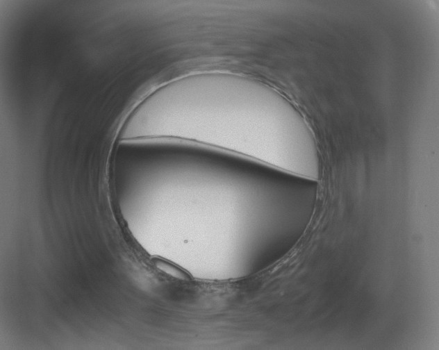 X0000083580099200702090851