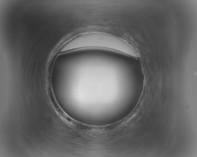 X0000083580101200702090851