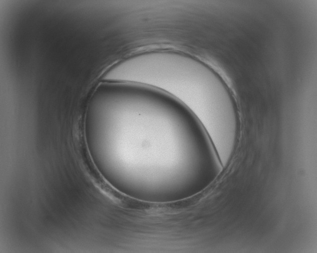 X0000083580105200702090851