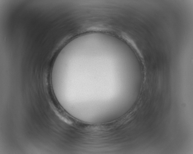 X0000083580106200702090851