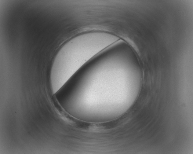 X0000083580109200702090851
