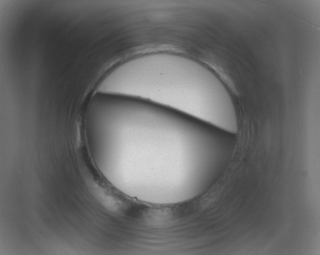 X0000083580110200702090851