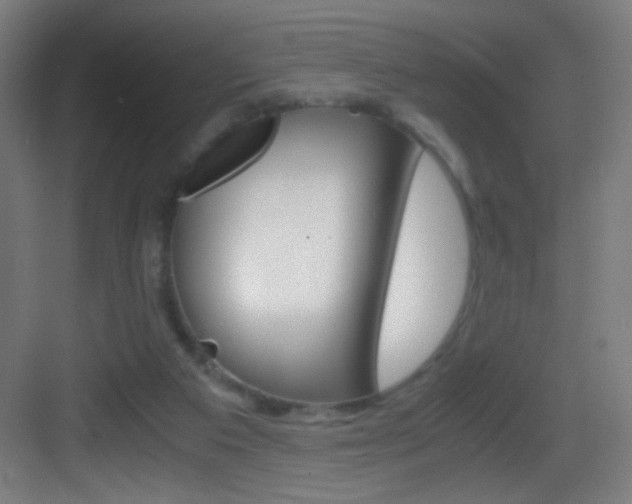 X0000083580113200702090851
