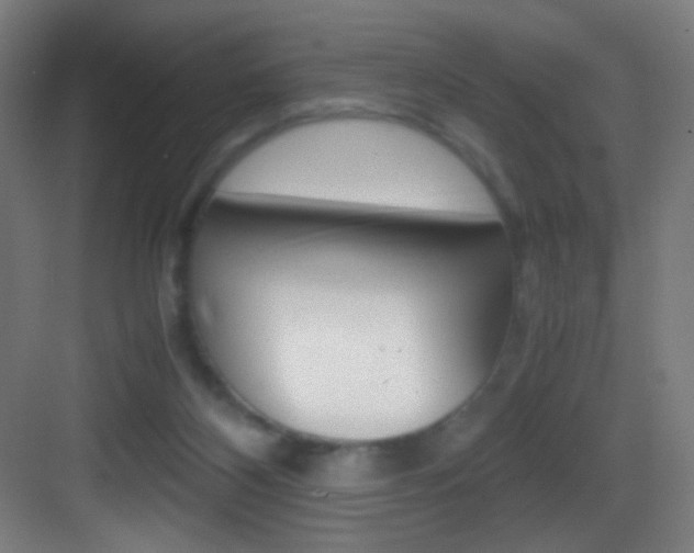 X0000083580116200702090851