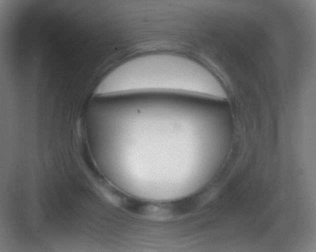 X0000083580117200702090851