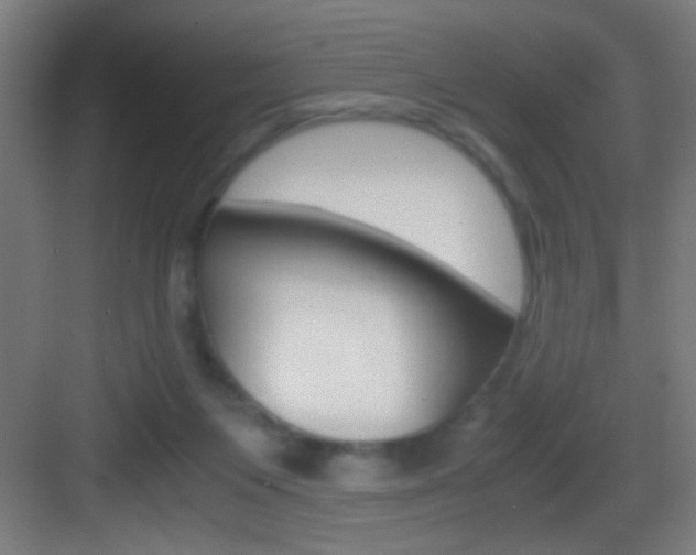 X0000083580119200702090851