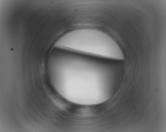 X0000083580120200702090851