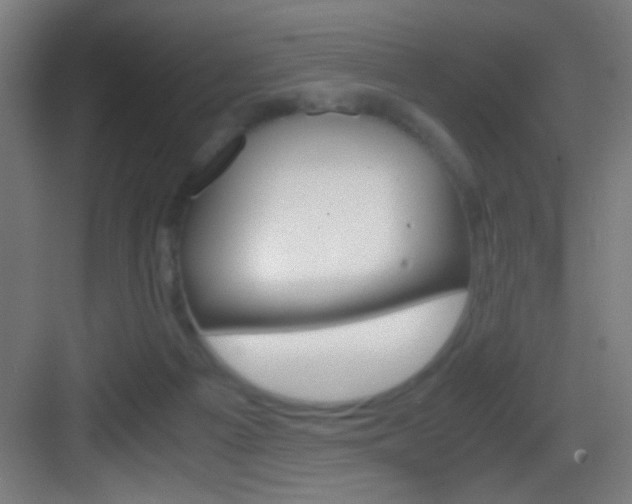 X0000083580121200702090851