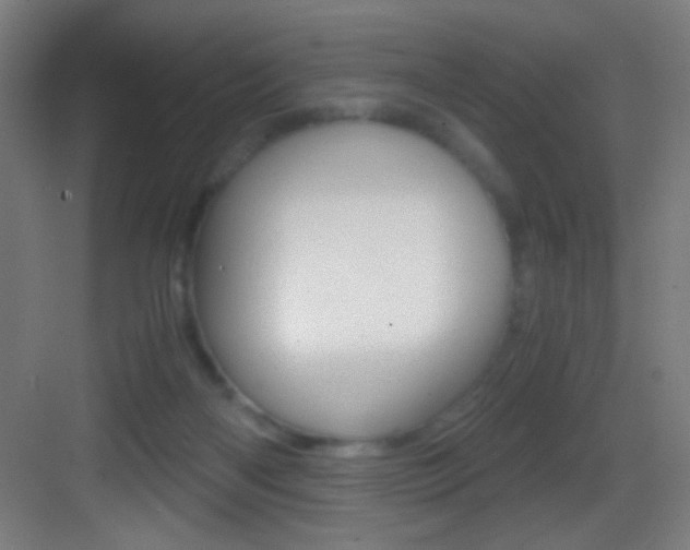X0000083580122200702090851