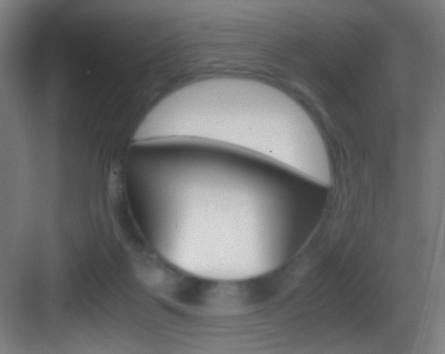 X0000083580123200702090851