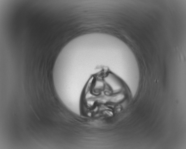 X0000083580125200702090851