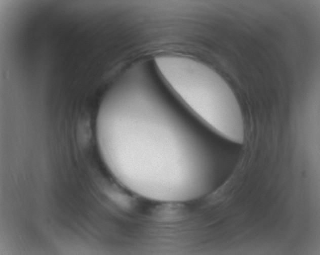 X0000083580128200702090851