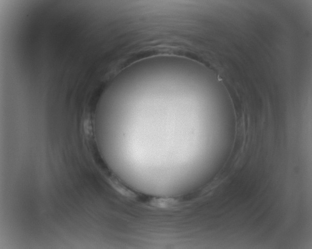 X0000083580137200702090851
