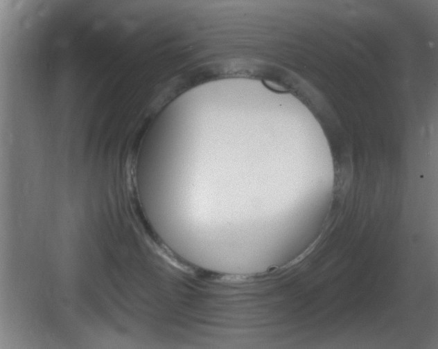 X0000083580142200702090851