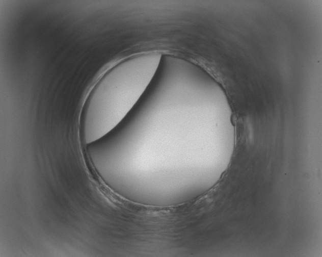 X0000083580147200702090850