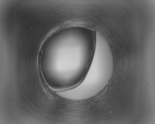 X0000083580148200702090850