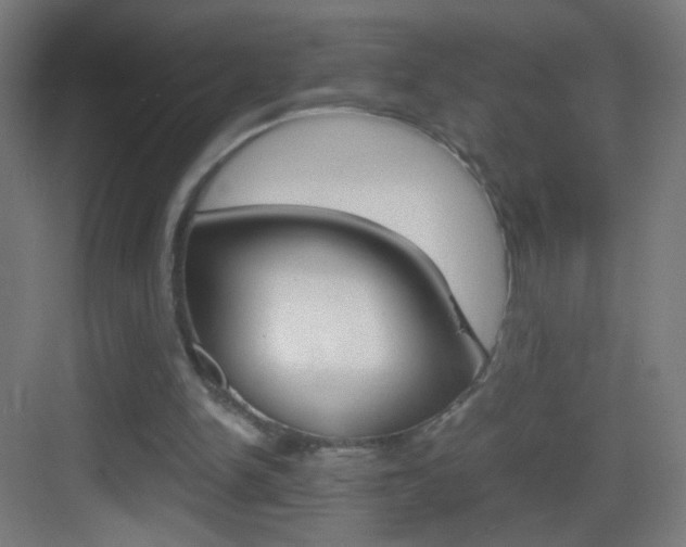 X0000083580150200702090850