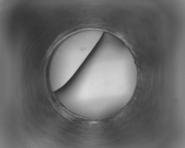 X0000083580151200702090850