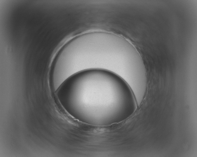 X0000083580152200702090850