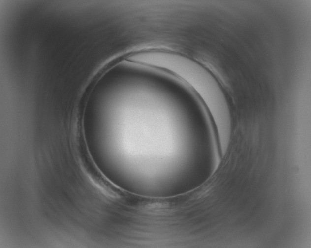 X0000083580156200702090850