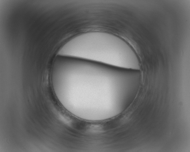 X0000083580157200702090850