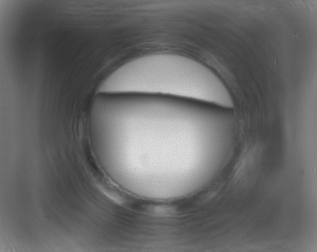 X0000083580165200702090850