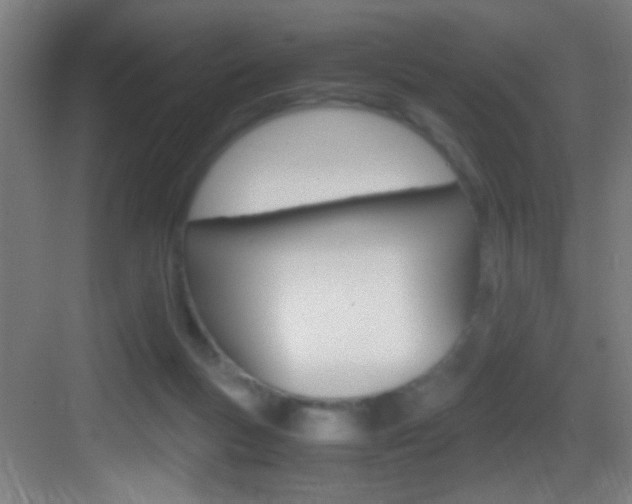 X0000083580167200702090850
