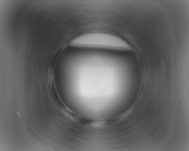 X0000083580172200702090850