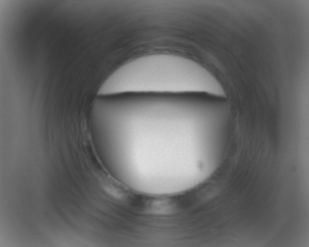 X0000083580173200702090850