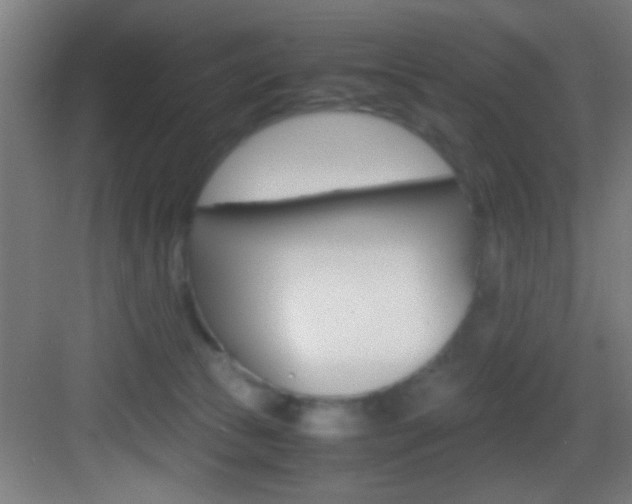 X0000083580177200702090850