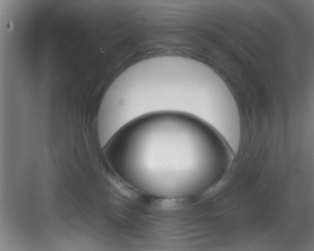 X0000083580184200702090850