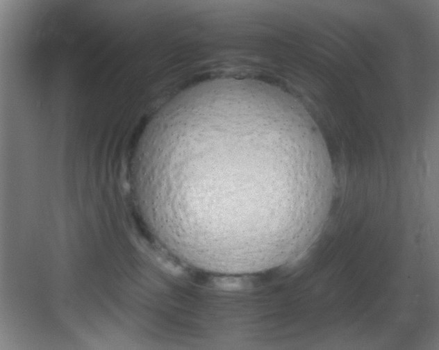 X0000083580187200702090850