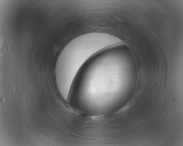 X0000083580188200702090850