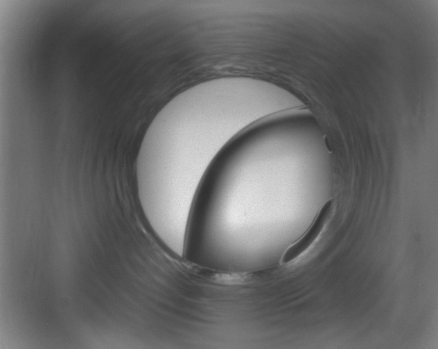 X0000083580192200702090851
