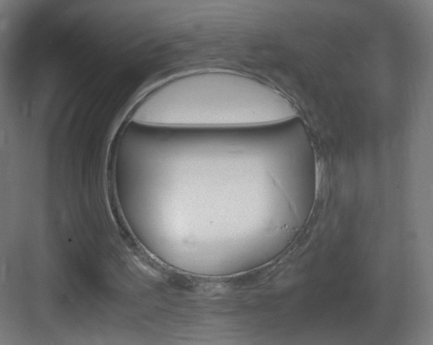 X0000083580195200702090850